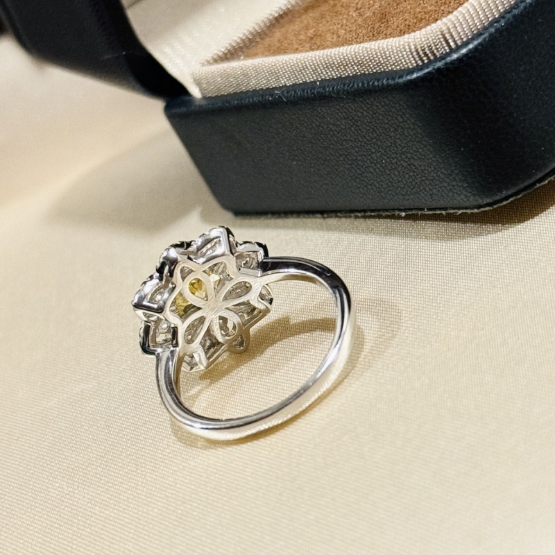 HARRY WINSTON